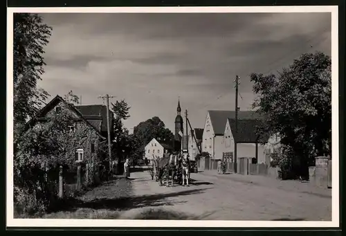 Fotografie Brück & Sohn Meissen, Ansicht Frauenhain, Hauptstrasse mit Pferdekarren