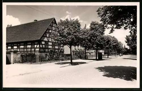 Fotografie Brück & Sohn Meissen, Ansicht Gröditz, Blick in die Dorfstrasse mit Wohnhäusern