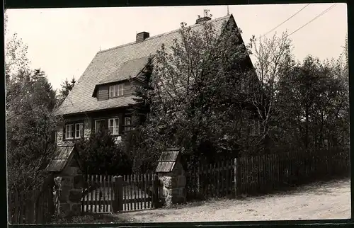 Fotografie Brück & Sohn Meissen, Ansicht Oberbärenburg, Blick auf das Haus Zweilinden, Waldidyll