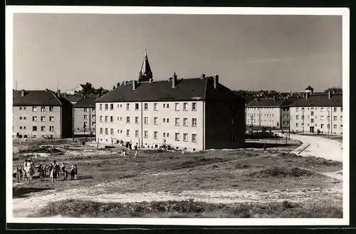 Fotografie Brück & Sohn Meissen, Ansicht Riesa / Elbe, Blick auf die Neue Siedlung, Neubausiedlung