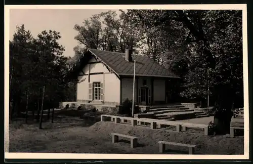 Fotografie Brück & Sohn Meissen, Ansicht Niederau, am Gellerthaus und der Freilichtbühne