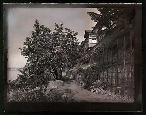 Fotografie Brück & Sohn Meissen, Ansicht Dresden-Loschwitz, Körnerstrasse 26 Haus Böhme, Partie im Garten