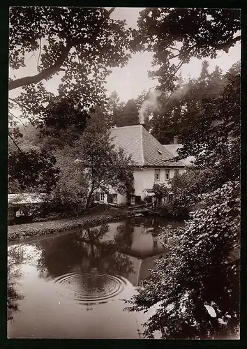 Fotografie Brück & Sohn Meissen, Ansicht Waldenburg, Glänzelmühle, Wassermühle mit Mühlteich