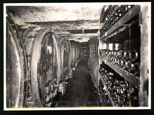 Fotografie Brück & Sohn Meissen, Ansicht Meissen-Spaar, Weinkeller von Umlauft's Weinstuben