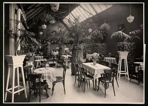 Fotografie Brück & Sohn Meissen, Ansicht Hainichen, Gastraum im Wintergarten mit tropischen Pflanzen