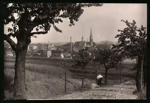 Fotografie Brück & Sohn Meissen, Ansicht Geringswalde, Ortsansicht mit Kirche vom nahen Feld gesehen