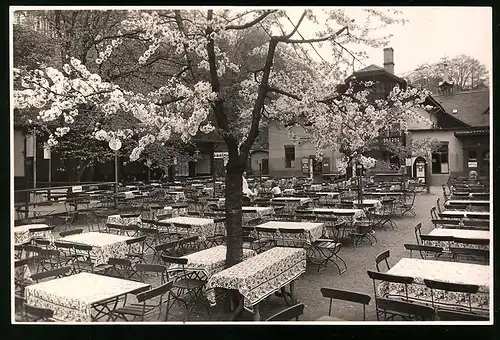 Fotografie Brück & Sohn Meissen, Ansicht Radebeul, Gasthof Meierei im Lössnitzgrund, Garten-Terrasse