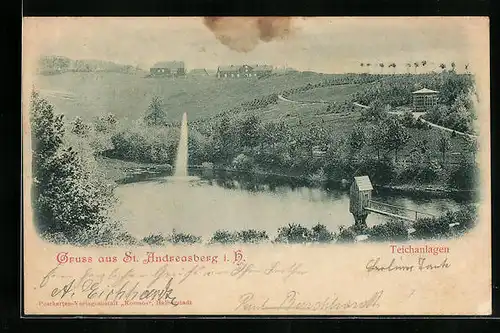 AK St. Andreasberg i. H., Blick zu den Teichanlagen