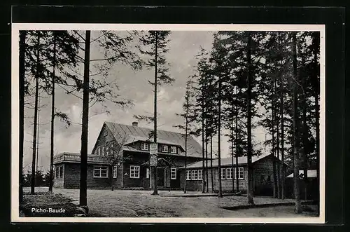 AK Tautewalde, Gasthaus Picho-Baude im Wald