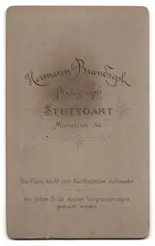 Fotografie H. Brandseph, Stuttgart, Marienstrasse 36, Bürgerlicher Mann mit Oberlippenbart und Fliege