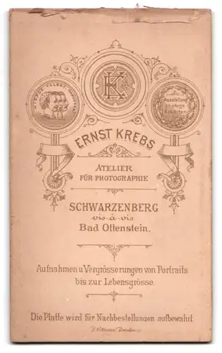Fotografie Ernst Krebs, Schwarzenberg, Junger Mann mit Schnurrbart und aufrechter Haltung