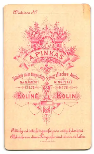 Fotografie A. Pinkas, Kolin, Ringplatz 76, Bürgerliche Dame mit Doppelkinn