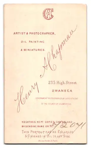 Fotografie H. A. Chapman, Swansea, High Street 235, Kleines süsses Mädchen im Kleid