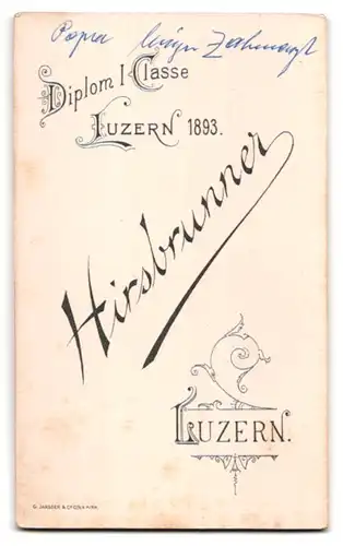Fotografie C. Hirsbrunner, Luzern, Stattlicher Herr im Anzug mit Schnauzbart