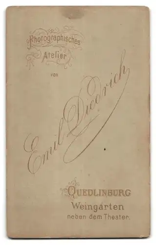 Fotografie Emil Diedrich, Quedlinburg, Bürgerliche Dame im Sonntagskleid