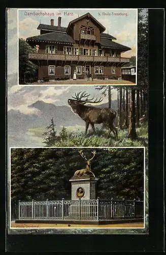 AK Thale-Treseburg /Harz, Dambachshaus mit Denkmal