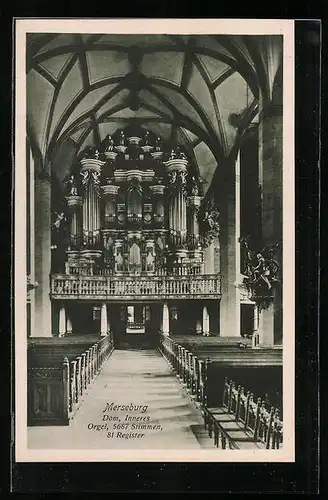 AK Merseburg, Dom, Inneres mit Orgel