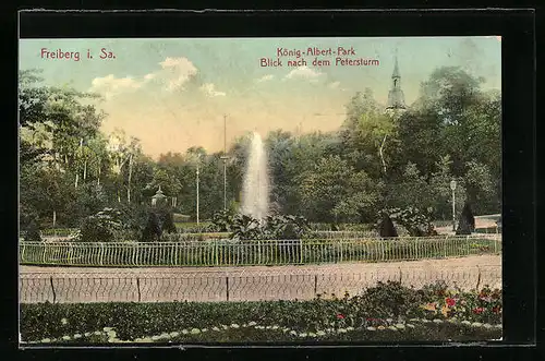 AK Freiberg i. Sa., König-Albert-Park, Blick nach dem Petersturm