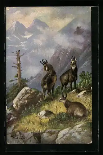 Künstler-AK Alfred Schönian: Gemsen in Berglandschaft