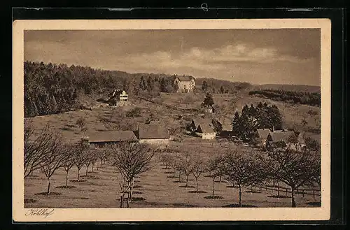 AK Heidelberg, Alter und Neuer Kohlhof mit Umgebung