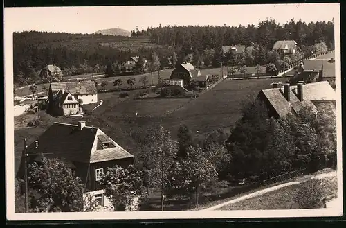 Fotografie Brück & Sohn Meissen, Ansicht Oberbärenburg i. Erzg., Blick auf die Stadt mit Wohnhäsuern