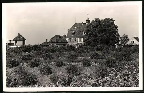 Fotografie Brück & Sohn Meissen, Ansicht Meissen i. Sa., Blick auf das Genesungs- und Altersheim Domprobstberg