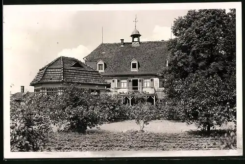 Fotografie Brück & Sohn Meissen, Ansicht Meissen i. Sa., Blick vom Garten auf das Genesungs- und Altersheim Domprobstberg