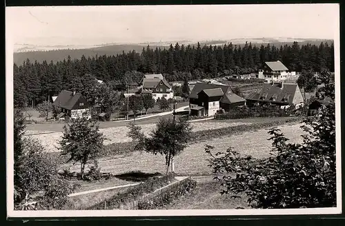 Fotografie Brück & Sohn Meissen, Ansicht Oberbärenburg i. Erzg., Blick in den Ort