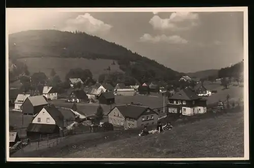 Fotografie Brück & Sohn Meissen, Ansicht Wildenthal i. Erzg., Blick in den Ort mit Wohnhäsuern