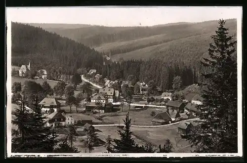 Fotografie Brück & Sohn Meissen, Ansicht Wildenthal i. Erzg., Blick in das Tal mit Wohnhäsuern