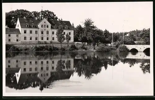 Fotografie Brück & Sohn Meissen, Ansicht Grillenburg, Blick über den Teich auf den Gasthof Grillenburg