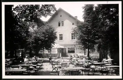 Fotografie Brück & Sohn Meissen, Ansicht Moritzburg b. Dresden, Partie am Waldgasthof Auer