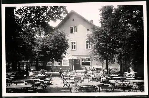 Fotografie Brück & Sohn Meissen, Ansicht Moritzburg b. Dresden, Gartenpartie am Waldgasthof Auer