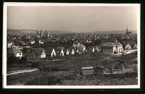 Fotografie Brück & Sohn Meissen, Ansicht Naumburg / Saale, Blick auf die Stadt