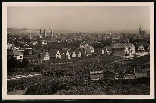Fotografie Brück & Sohn Meissen, Ansicht Naumburg / Saale, Blick auf die Stadt mit Kirche und Dom