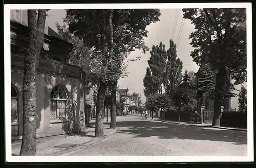 Fotografie Brück & Sohn Meissen, Ansicht Pulsnitz, Partie in der Kamenzer Strasse