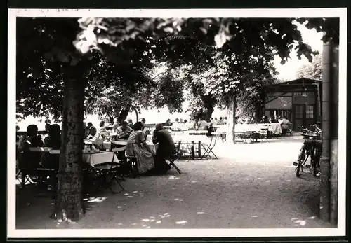 Fotografie Brück & Sohn Meissen, Ansicht Diesbar / Elbe, Partie im Garten des Gasthof zum Ross