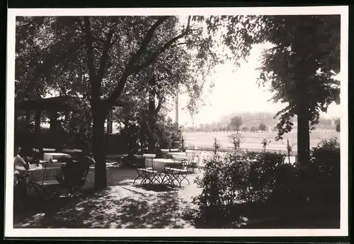 Fotografie Brück & Sohn Meissen, Ansicht Diesbar / Elbe, Blick auf die Terrasse des Gasthaus Rosengarten