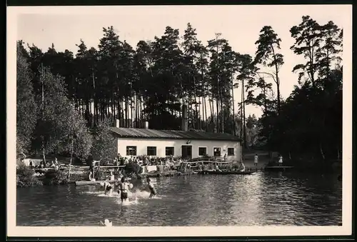 Fotografie Brück & Sohn Meissen, Ansicht Schmannewitz i. Sa., Partie im Freibad Waldteich