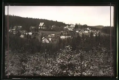 Fotografie Brück & Sohn Meissen, Ansicht Oberbärenburg i. Erzg., Blick aus dem Wald auf dem Ort