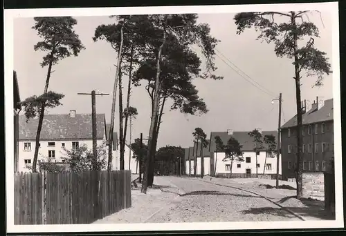 Fotografie Brück & Sohn Meissen, Ansicht Lauchhammer-Ost, Partie in der Neuen Siedlung, Neubauten