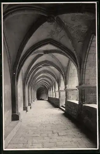 Fotografie Brück & Sohn Meissen, Ansicht Naumburg / Saale, Blick in den Kreuzgang im Dom