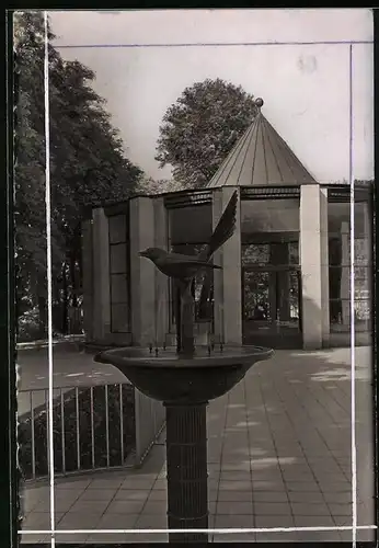 Fotografie Brück & Sohn Meissen, Ansicht Bad Elster, Blick auf den Elsterbrunnen am Quellenhaus