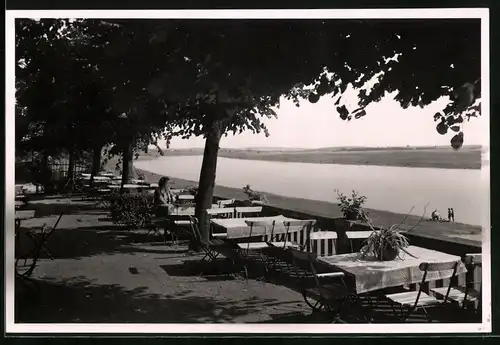 Fotografie Brück & Sohn Meissen, Ansicht Nünchritz / Elbe, Partie aus dem Elbgasthof an der Elbe