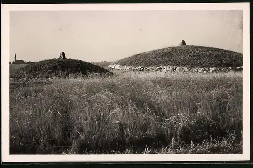 Fotografie Brück & Sohn Meissen, Ansicht Gävernitz, Blick auf das Fürstengrab