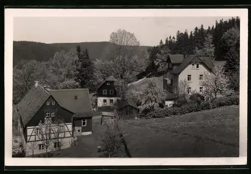 Fotografie Brück & Sohn Meissen, Ansicht Bärenfels i. Erzg., Blick auf die Wohnhäsuer im Ort