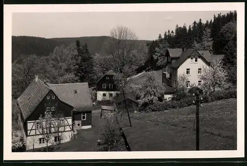 Fotografie Brück & Sohn Meissen, Ansicht Bärenfels i.Erzg., Teilansicht aus dem Ort mit Wohnhäusern