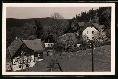 Fotografie Brück & Sohn Meissen, Ansicht Bärenfels i.Erzg., Teilansicht aus dem Ort mit Wohnhäsuern
