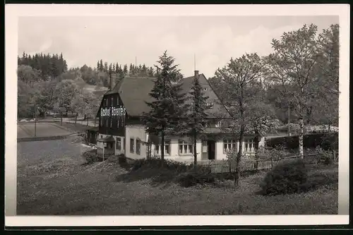 Fotografie Brück & Sohn Meissen, Ansicht Bärenfels i. Erzg., Blick auf den Gasthof Bärenfels