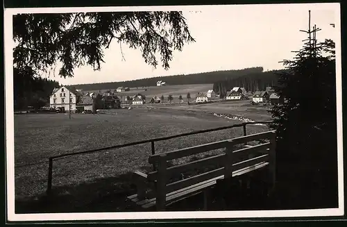 Fotografie Brück & Sohn Meissen, Ansicht Steinbach i. Erzg., Blick vom Wald auf den Ort